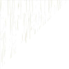 Heritage White/White